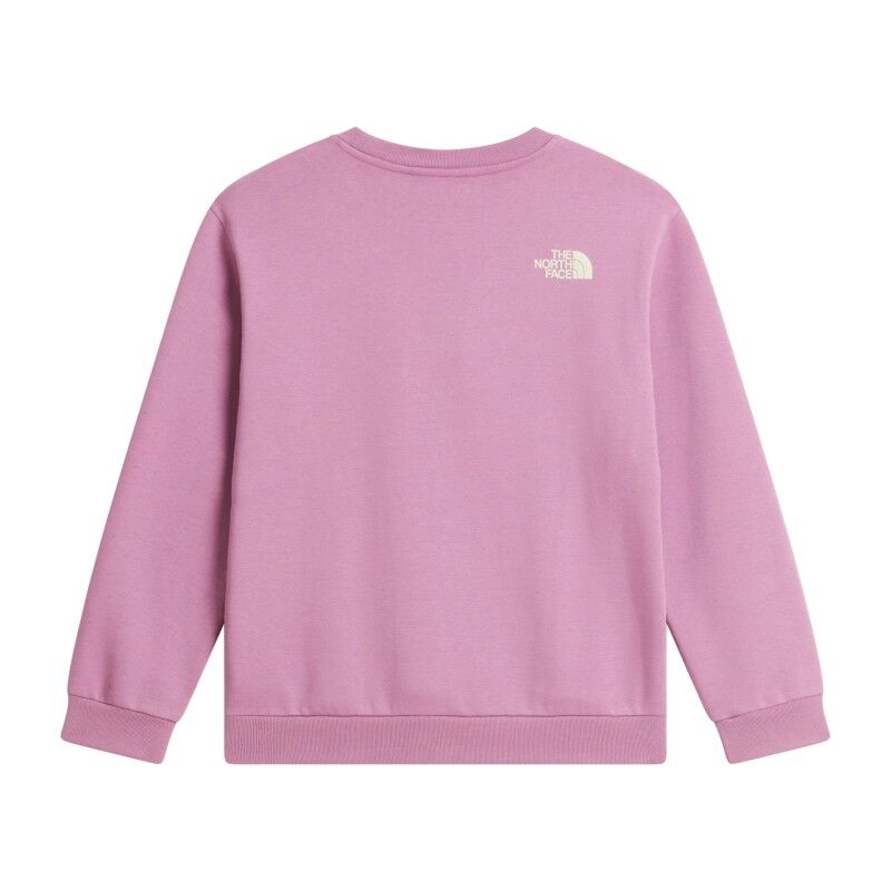 The North Face Teen G Chalbi Relaxed Crew - Graphic - Jumper - Kid's | Hardloop