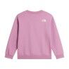 The North Face Teen G Chalbi Relaxed Crew - Graphic - Sweatshirt enfant | Hardloop