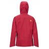 Marmot Alpinist Jacket - Ski jacket - Men's