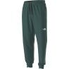 The North Face M Mountain Athletics Fleece Pant 2.0 - Trainingbroek - Heren | Hardloop