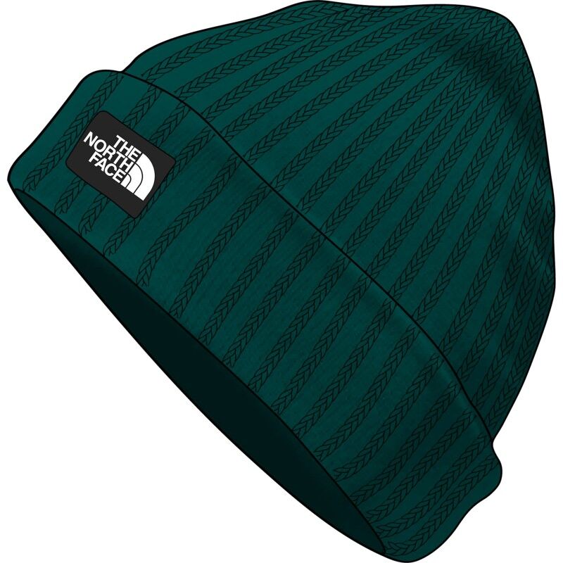 The North Face Salty Lined Beanie - Bonnet homme | Hardloop