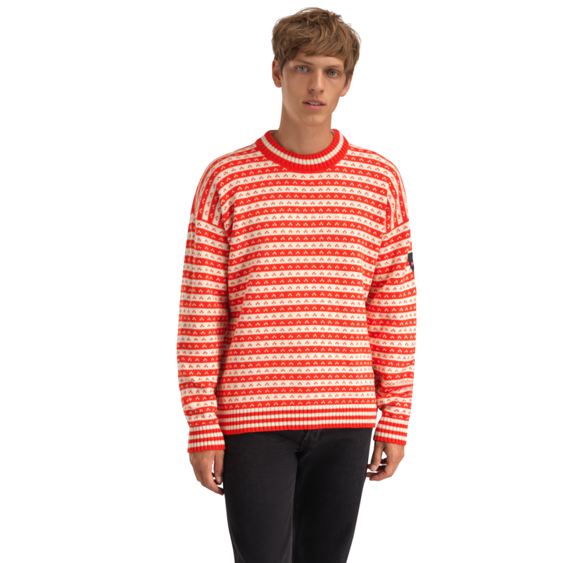 Skipsleia Sweater - Jerséis