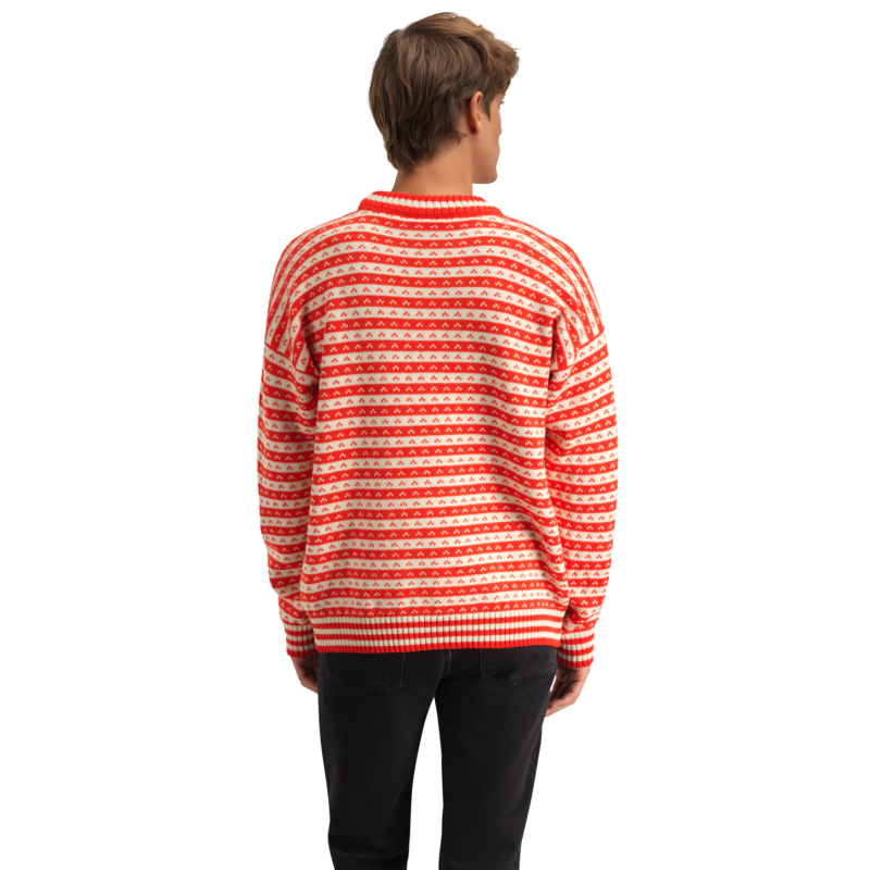 Dale of Norway Skipsleia Sweater - Jumper | Hardloop