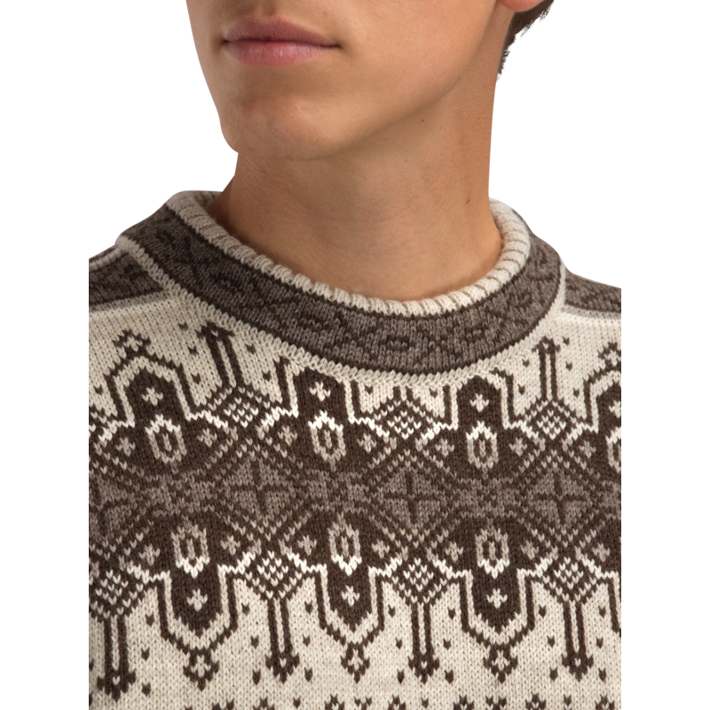 Dale of Norway Albertville Masc. Sweater - Pullover - Herr | Hardloop