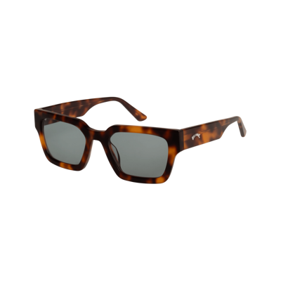 Weber - Sunglasses