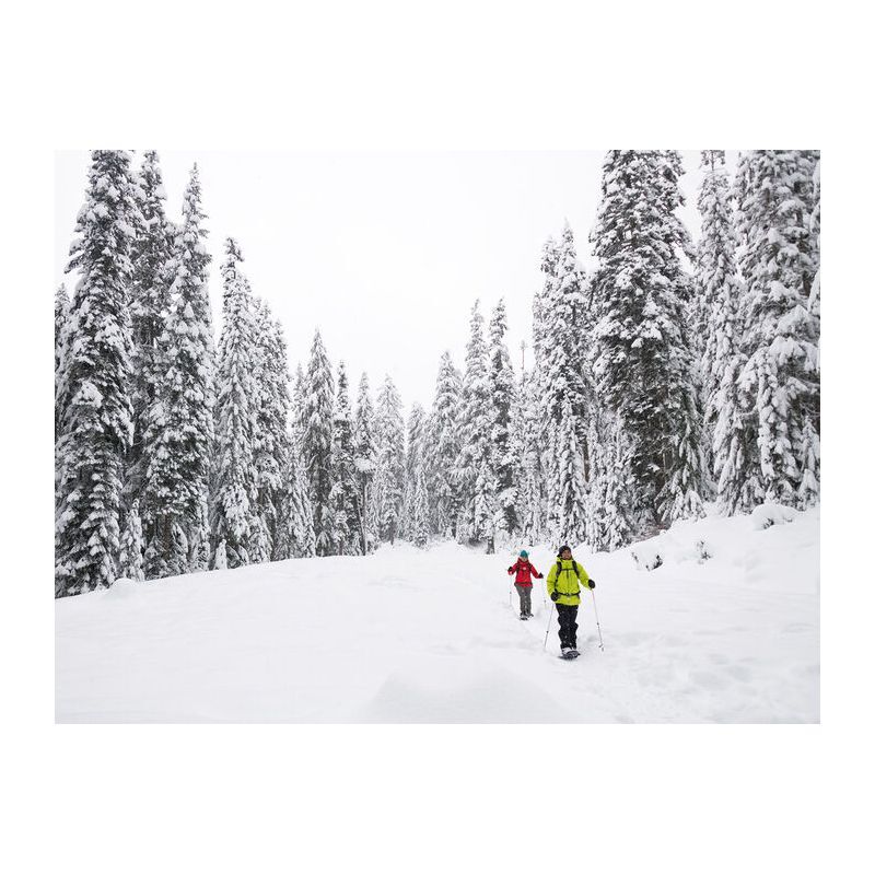 MSR Lightning Trail W22 - Schneeschuhe | Hardloop