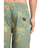 Billabong Wasted Times Lb - Boardshorts - Uomo | Hardloop