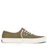 Olive Brown