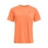 Faded Tangerine