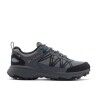 Cinder Grey / Phoenix Blue