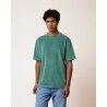 Light Green Grey