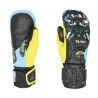 Yellow / Blue
