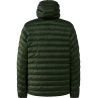 Seaweed Green