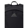 Gregory Aerolite Backpack 25L - Walking backpack | Hardloop