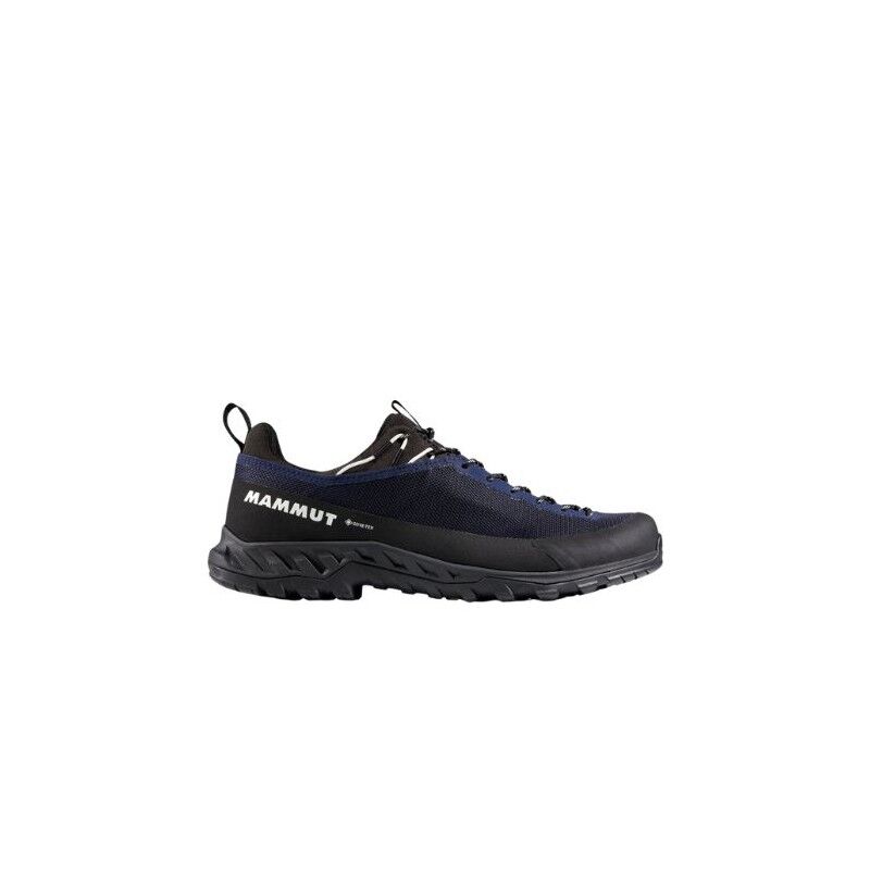 Alnasca IV Low GTX - Approachschuhe - Herren