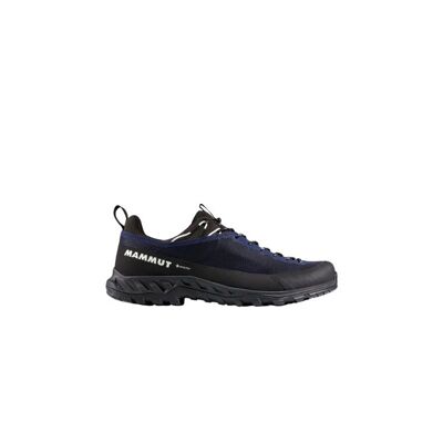 Alnasca IV Low GTX - Chaussures approche homme