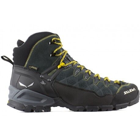 Ms alp trainer mid gtx outlet salewa