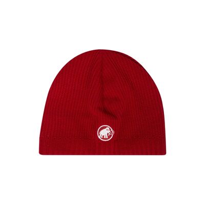 Sublime Beanie - Čepice