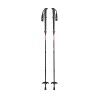 Mammut Taiss Poles - Walking poles | Hardloop