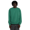 Fir