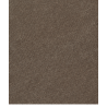 Element Big Carpenter Canvas - Pánské kalhoty | Hardloop