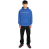 Element Substance Po - Bluza z kapturem męska | Hardloop