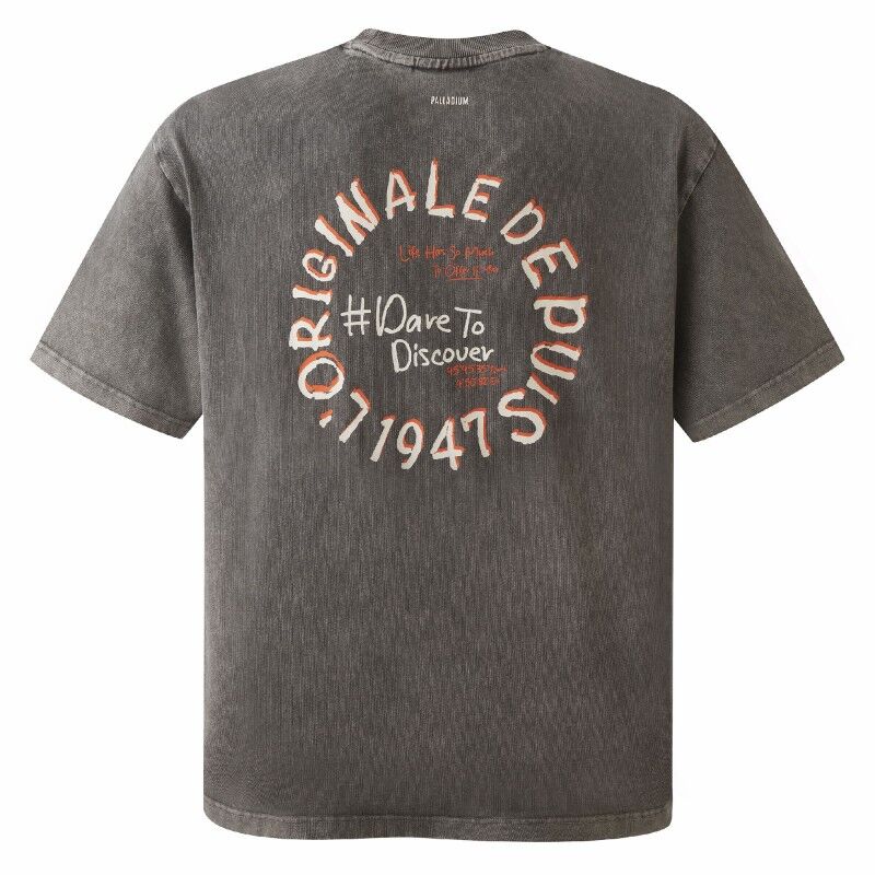 Palladium M Tee Shirt Artw 01 - Pánské triko | Hardloop