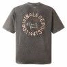 Palladium M Tee Shirt Artw 01 - Pánské triko | Hardloop