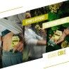 Baouw Citron - Yuzu - Gel énergétique | Hardloop