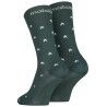 Mountain Pine