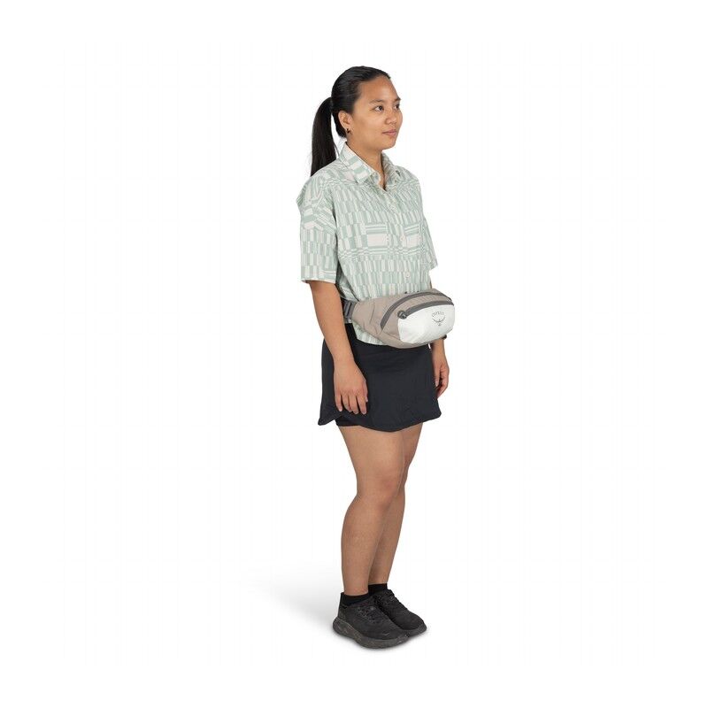 Daylite Waist - Sac banane