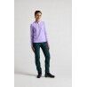 Mountain Pine