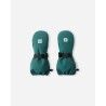 Dark Teal