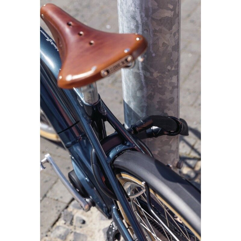 Abus ACH IVY 6KS/100 + ST5950 - Fahrradschloss | Hardloop