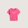 Pink Velvet