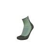 Lichen / Dk Loden