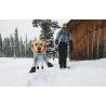Ruffwear Powder Hound™ Waterproof Insulated Jacket - Manteau pour chien | Hardloop