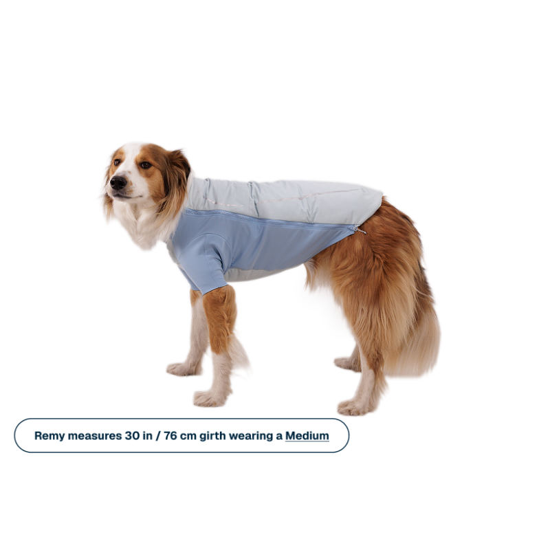 Ruffwear Powder Hound™ Waterproof Insulated Jacket - Dog coat | Hardloop