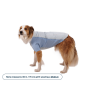 Ruffwear Powder Hound™ Waterproof Insulated Jacket - Dog coat | Hardloop