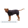Ruffwear Powder Hound™ Waterproof Insulated Coverall - Manteau pour chien | Hardloop