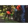 Ruffwear Lumenglow™ High-Vis Vest - Giacca per cani | Hardloop