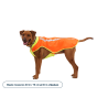 Ruffwear Lumenglow™ High-Vis Vest - Dog jacket | Hardloop