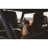 Ruffwear Timberline Fuse™ Fleece Vest - Veste pour chien | Hardloop