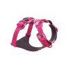 Pink Mountains