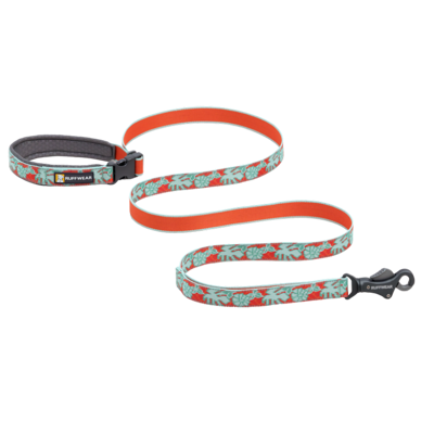 Crag Leash - Laisse pour chien