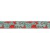 Ruffwear Crag - Dog collar