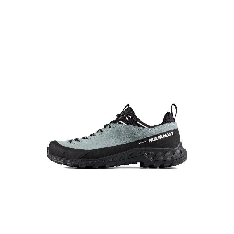 Alnasca IV Low LTH GTX - Approachschoenen - Dames