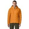 Autumn Orange