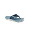 Blue / Faded Blue