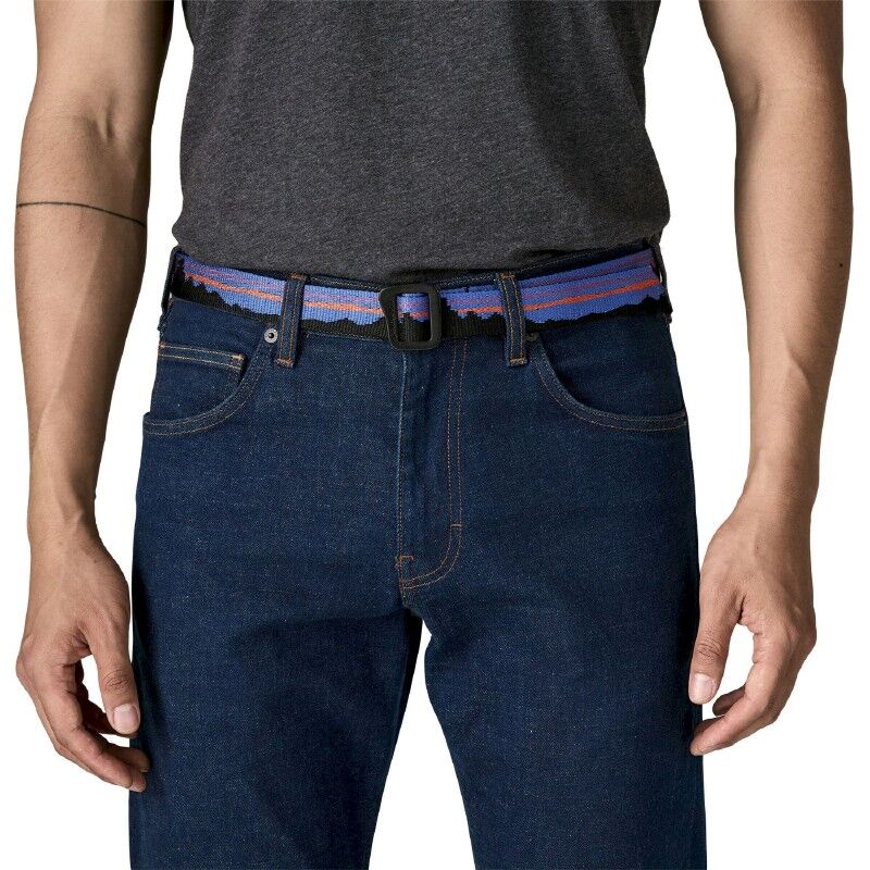 Patagonia Friction Belt - Belt | Hardloop
